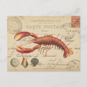 Carte Postale Vintage Lobster and seashells postcard