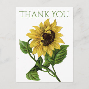Carte Postale Vintage Merci Floral Fleurs de tournesol Jaunes