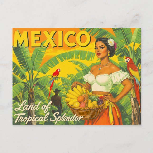 Carte Postale Vintage Mexico Tropical Travel (Devant)