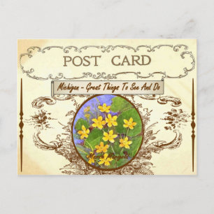 Carte postale vintage Michigan State Flower
