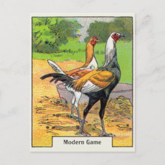 Carte Postale Vintage moderne Jeu poulet