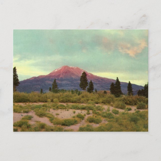 Carte Postale Vintage Mount Shasta (Devant)
