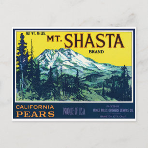 Carte Postale Vintage Mt Shasta California Pears Étiquette