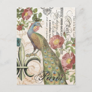 Carte postale vintage paon