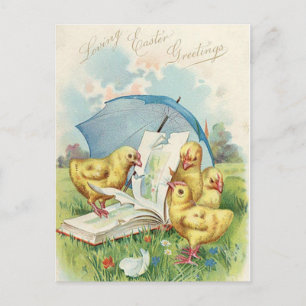 Carte postale vintage Pâques Chick Holiday