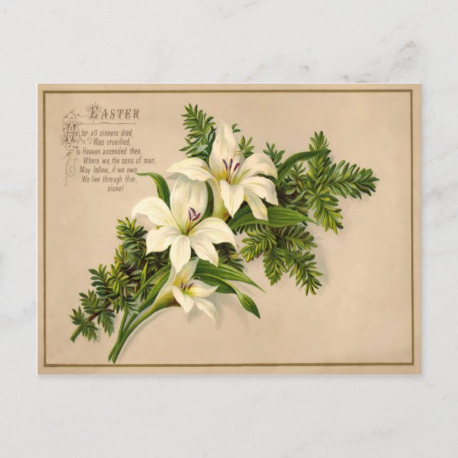 Carte postale vintage Pâques Lily (Devant)