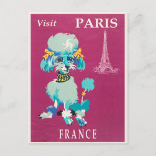 Carte Postale Vintage Paris France Caniche