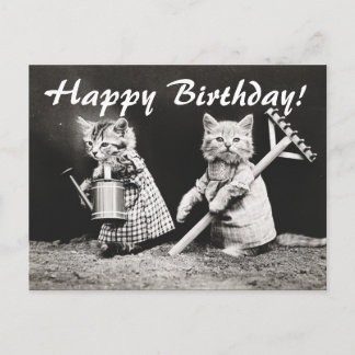 Carte postale vintage Photo Two Cats Gardens