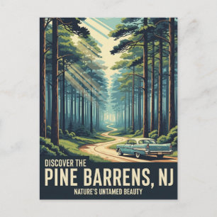 Carte Postale Vintage Pine Barrens New Jersey Travel