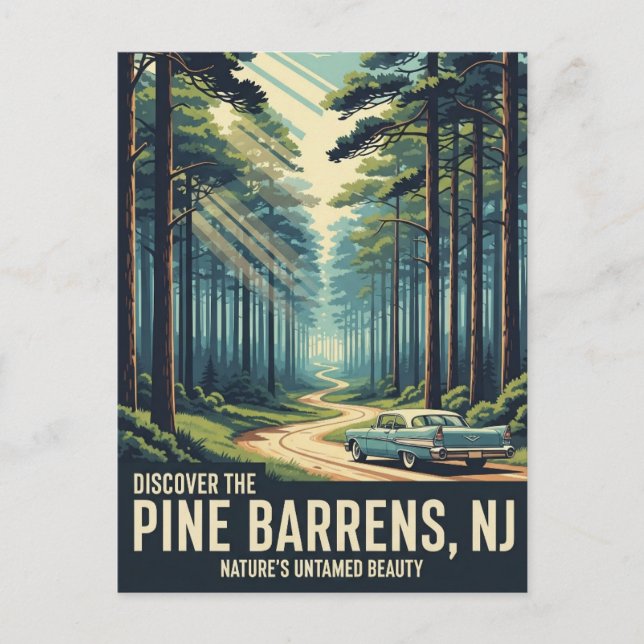 Carte Postale Vintage Pine Barrens New Jersey Travel (Devant)