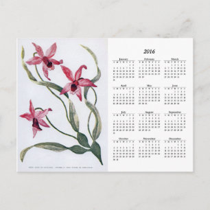 Carte postale vintage Pink Orchid 2016 Floral Cale