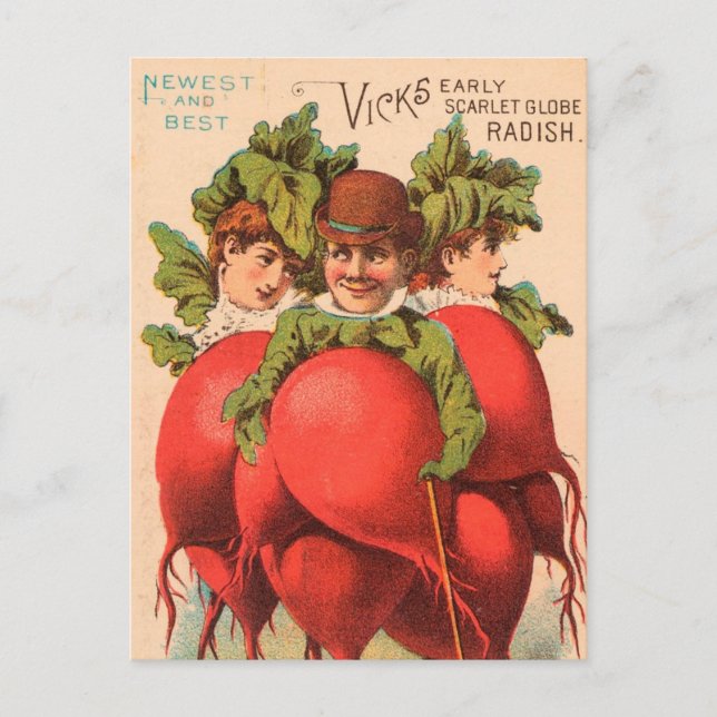 Carte Postale Vintage : publicité agricole - (Devant)