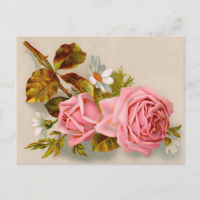 Carte postale Vintage Rose Spring (Devant)