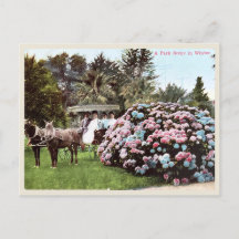 Carte postale vintage San Diego, époque victorienn
