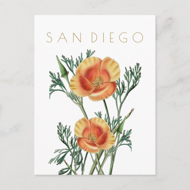 Carte Postale Vintage San Diego État voyage de fleurs du milieu  (Devant)