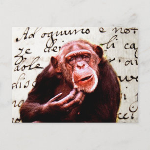 Carte Postale vintage scripts funny Chimpanzee
