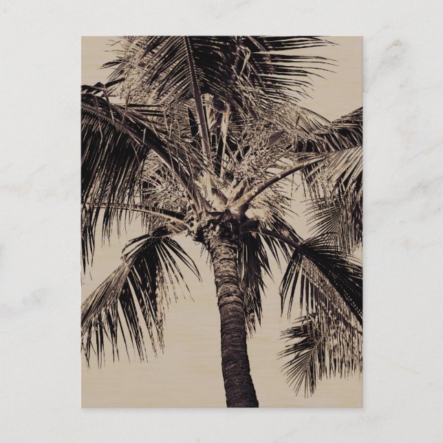 Carte Postale Vintage Sepia Retro Hawaiian Palm Tree Modèle (Devant)