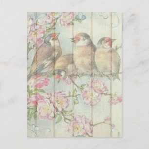 Carte Postale Vintage Shabby Chic Faded Floral Birds Design