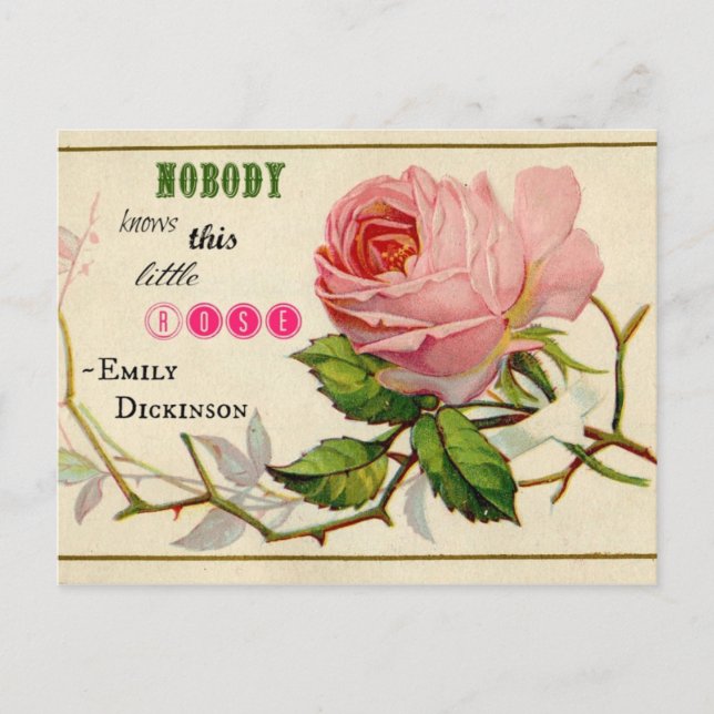 Carte postale vintage Shabby Rose (Devant)