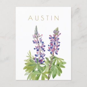 Carte Postale Vintage Texas Voyage de fleur du milieu du siècle 
