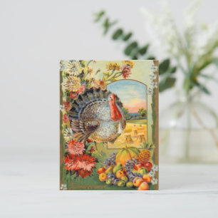 Carte Postale vintage Thanksgiving Dinde