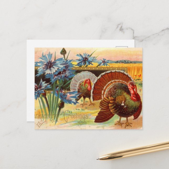 Carte postale vintage Thanksgiving Holiday turkey (Devant/Arrière en situation)