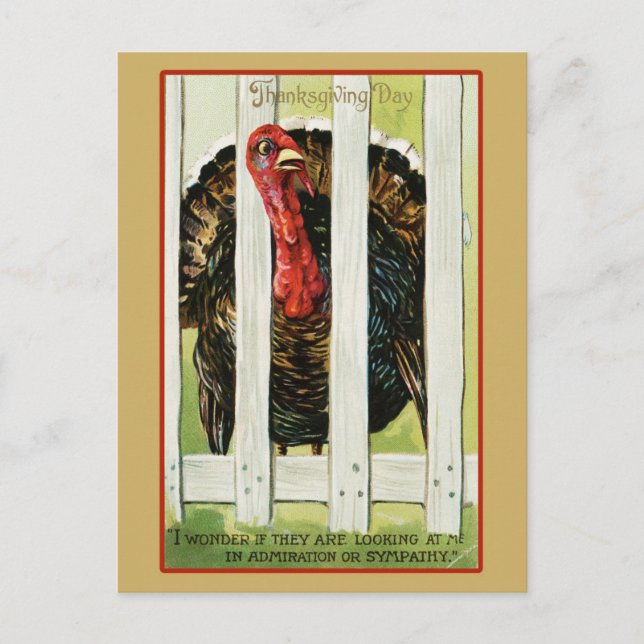 Carte Postale Vintage Thanksgiving Turquie (Devant)