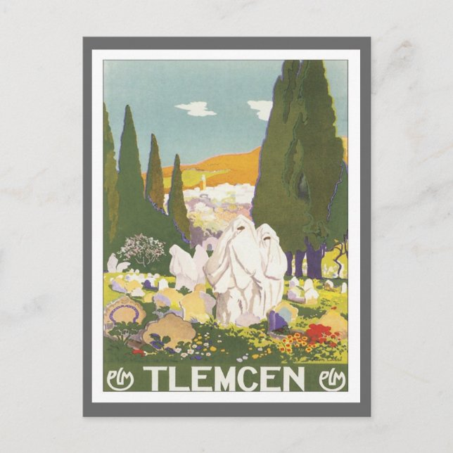 Carte Postale Vintage Tlemcen Algérie (Devant)