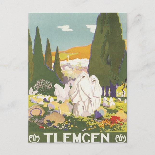 Carte Postale Vintage Tlemcen Algérie (Devant)
