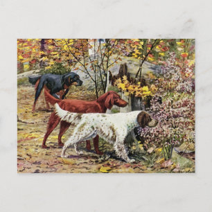 Carte Postale Vintage Trois Setters irlandais