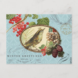 Carte postale vintage Vacances-Oiseaux d'hiver