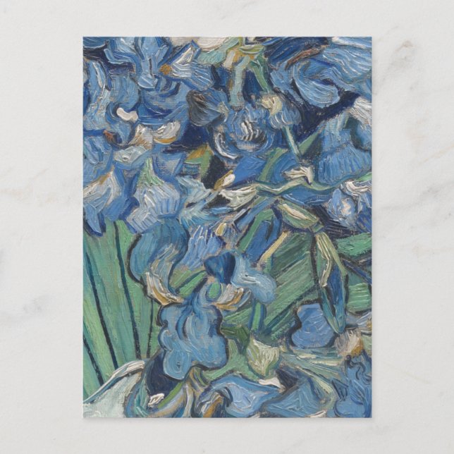 Carte Postale Vintage Van Gogh Irises (Devant)