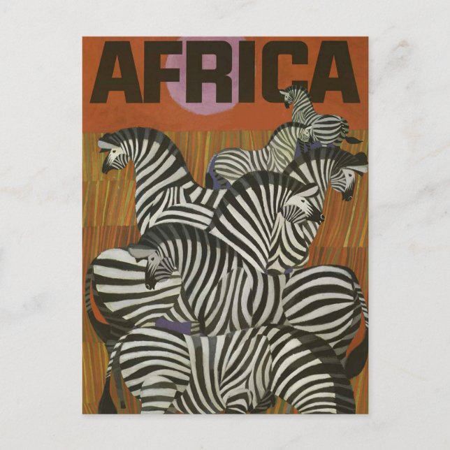 Carte postale Vintage voyage Afrique Zebra (Devant)