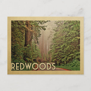 Carte Postale Vintage voyage de Redwoods National Park en Califo