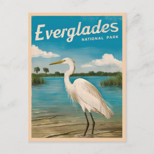 Carte Postale Vintage voyage Floride Everglades Nature Faune