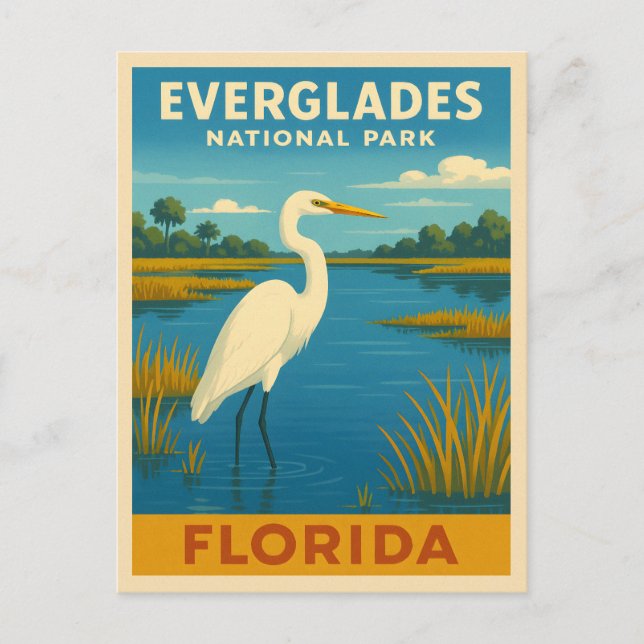 Carte Postale Vintage voyage rétro Floride Everglades Nature (Devant)