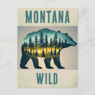 Carte Postale Vintage Wild Montana Ours Travel