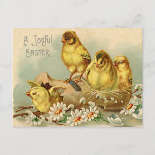 Carte Postale Vintages Joyeuses poules de Pâques en chaussure