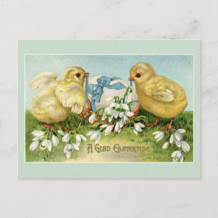 Carte Postale Vintages poussins de Pâques