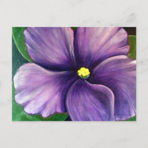 Carte Postale Violet africain violet