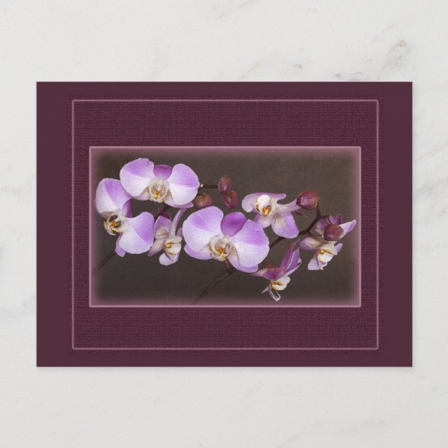 Carte Postale Violet et Orchidée blanche - photo de près (Devant)
