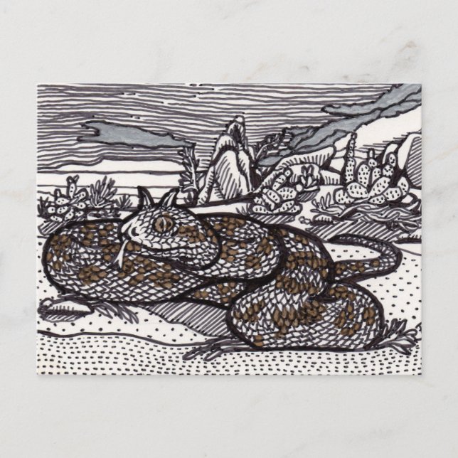 Carte Postale Viper à cornes (Devant)