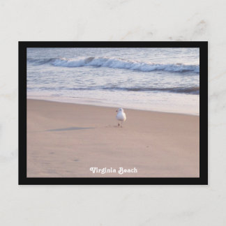 Carte Postale Virginia Beach