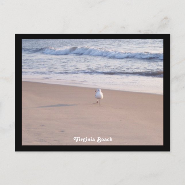 Carte Postale Virginia Beach (Devant)