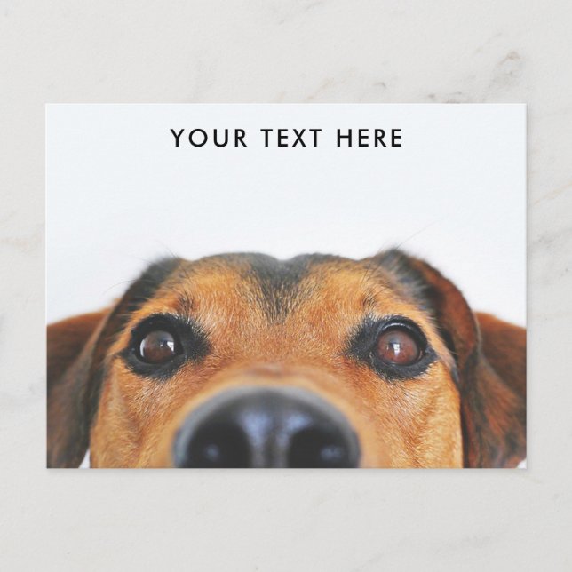 Carte postale Visage de chien mignon (Devant)