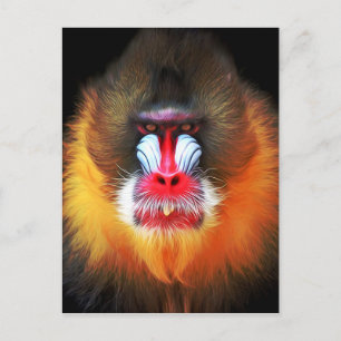 Carte Postale visage de singe