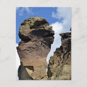 Carte Postale Visage de singe