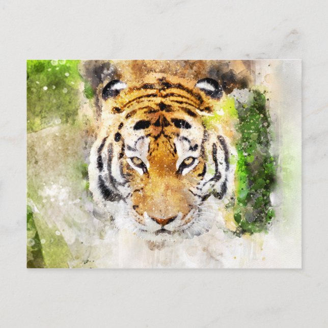 carte postale visage de tigre (Devant)
