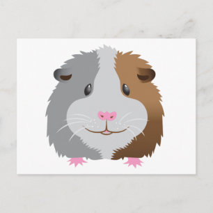 Carte Postale visage mignon de cobaye