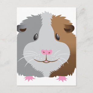 Carte Postale visage mignon de cobaye